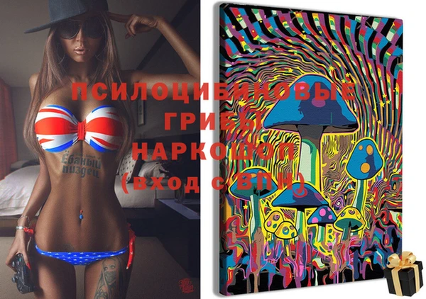 ГАЛЛЮЦИНОГЕННЫЕ ГРИБЫ Нея