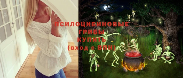 индика Алексеевка