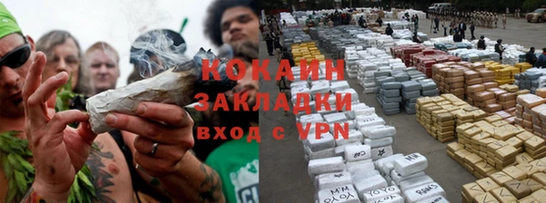 индика Алексеевка