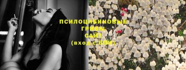 молекула духа Алзамай