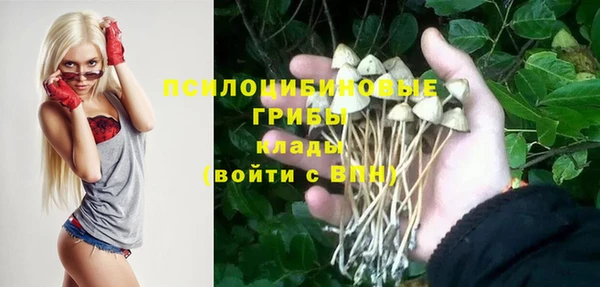 индика Алексеевка