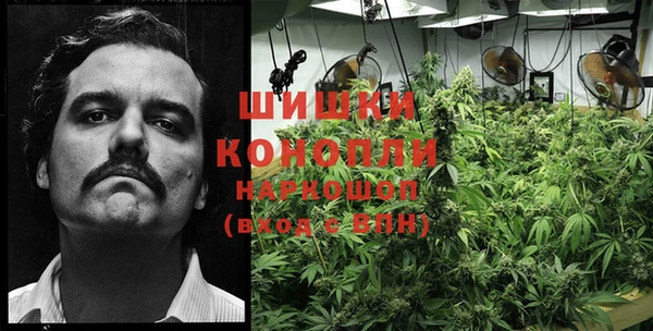 индика Алексеевка